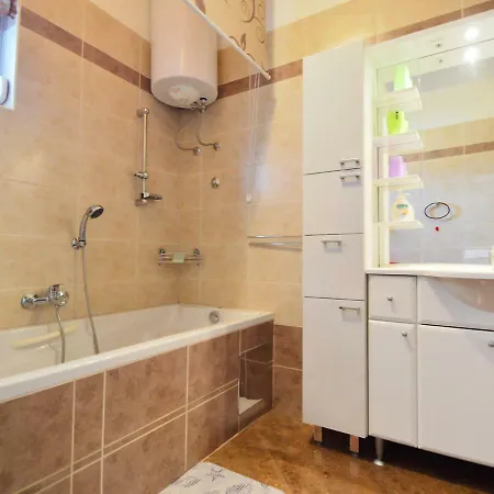 Tihomir-1 By Interhome Apartment Veprinac